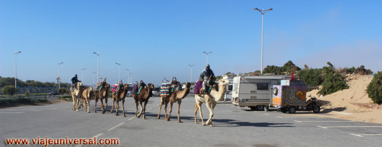 Blog Del Viaje Por Las Montanas Del Atlas Central De Marruecos