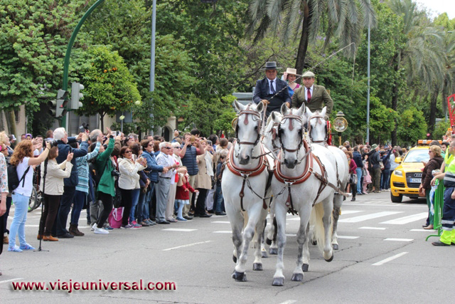 Festival de la primavera de Córdoba