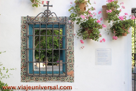 BLOG DEL VIAJE A LA FIESTA DE LOS PATIOS DE CÓRDOBA, ESPAÑA