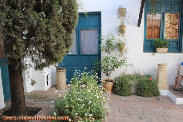 Patio de los Gatos