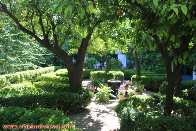 Patio de los Naranjos