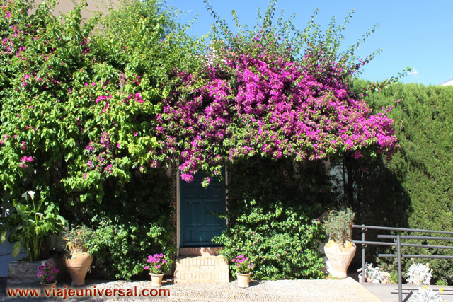 Patio del Pozo